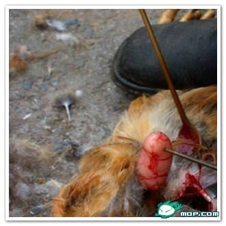 广西80后农村童年经典回忆,80后的童年回忆广西的农村生活