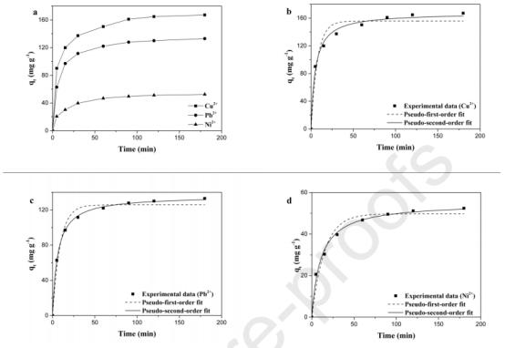 使用电纺DTPA改性的纳米纤维可有效去除废水中的Cu2+、Pb2+和Ni2