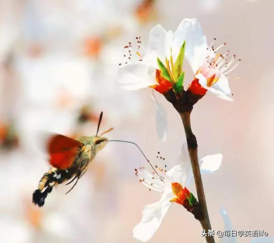 情人节给自己写一封情书模板,情人节写给自己的情书简单的