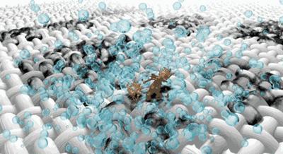 羽绒服脏了教你一招立刻变新,羽绒服刚买来皱皱巴巴快速处理