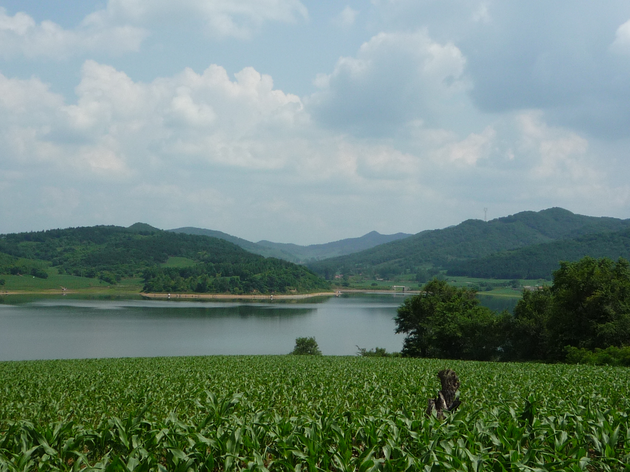 新手野钓用什么饵最好,深水野钓用饵技巧