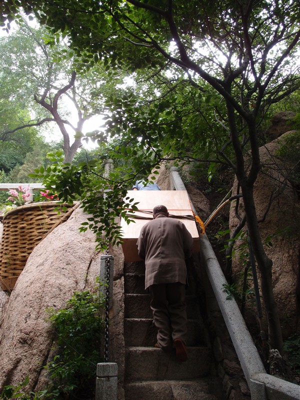 八达岭动物园观看老虎,八达岭动物园游玩