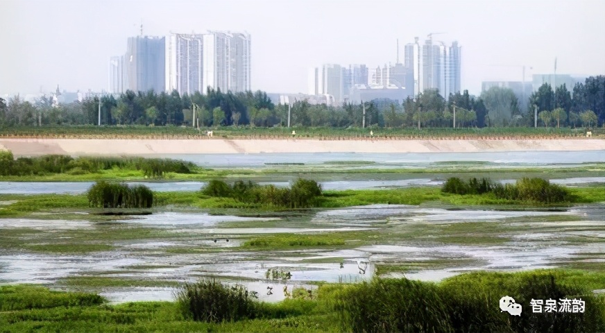 郭进拴神游索溪峪,郭进拴全部视频