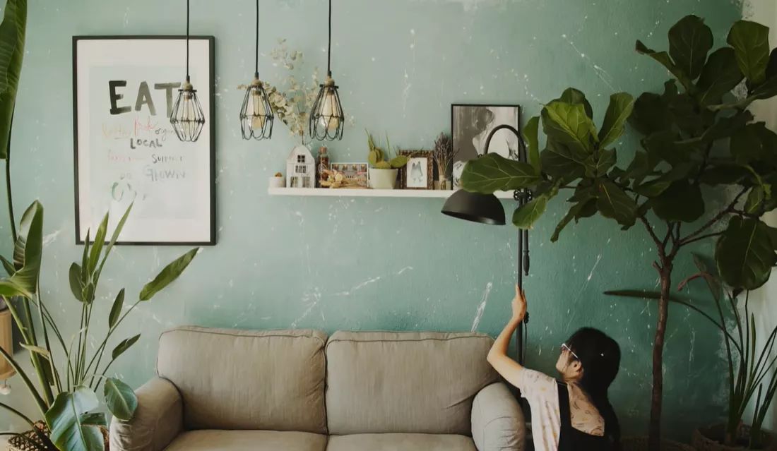 李子柒靠海外视频月入80万,德国版李子柒