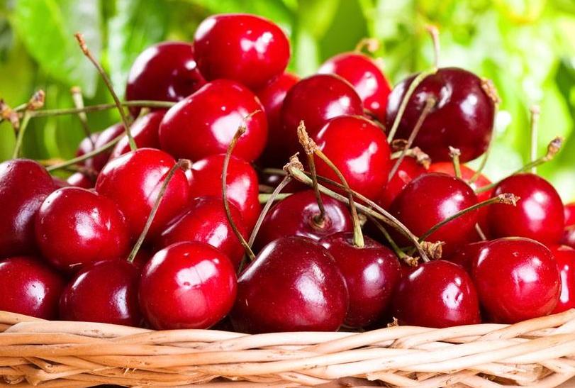 成都新都区军屯镇郭家村,成都新都军屯郭家村