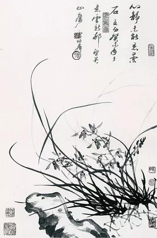 如何画兰花最好看的,君子兰花如何画