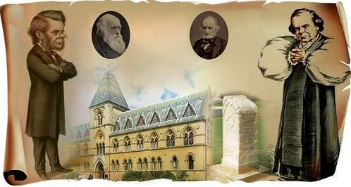 达尔文生物进化论提出的过程,达尔文进化论和拉马克的区别