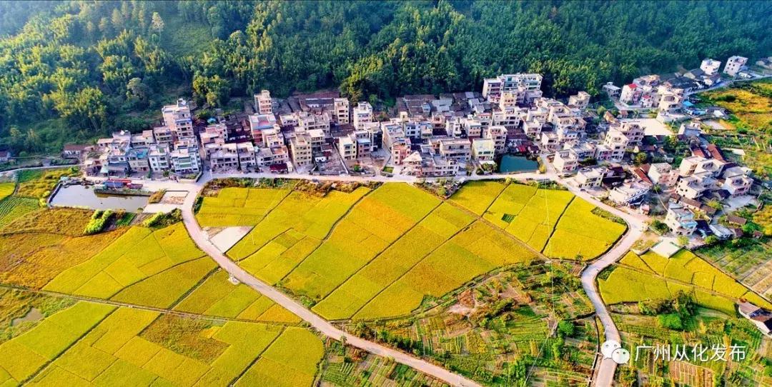 宜居宜业旅游攻略,广州从化的宜居小镇