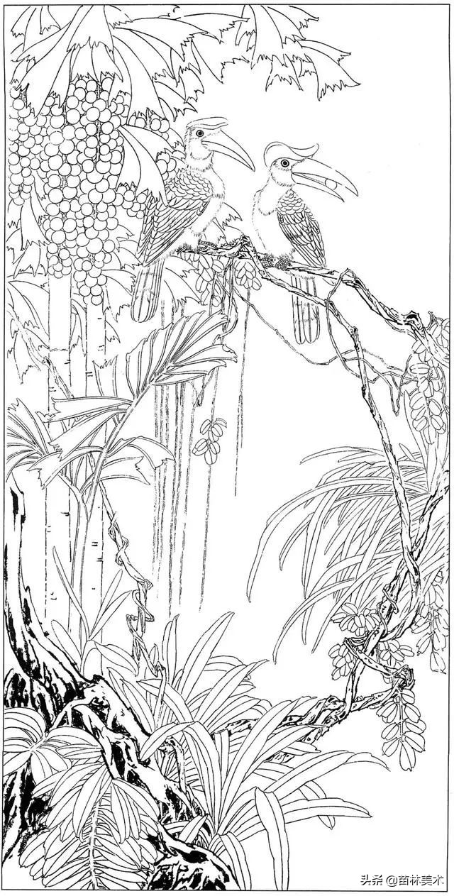 现代国画工笔花鸟白描及完整版,路雨年工笔白描花鸟团扇高清图片