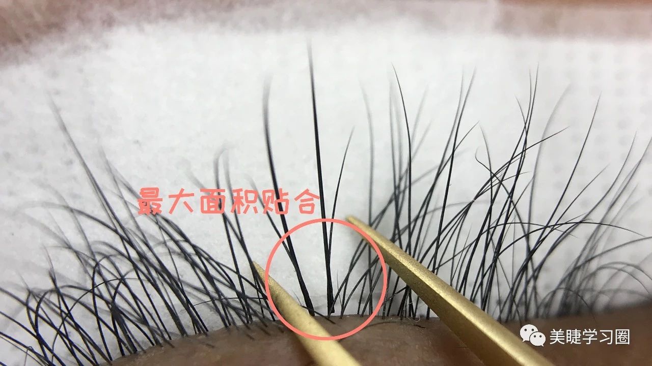 为什么嫁接睫毛不整齐还乱,为什么你嫁接的睫毛容易脱落