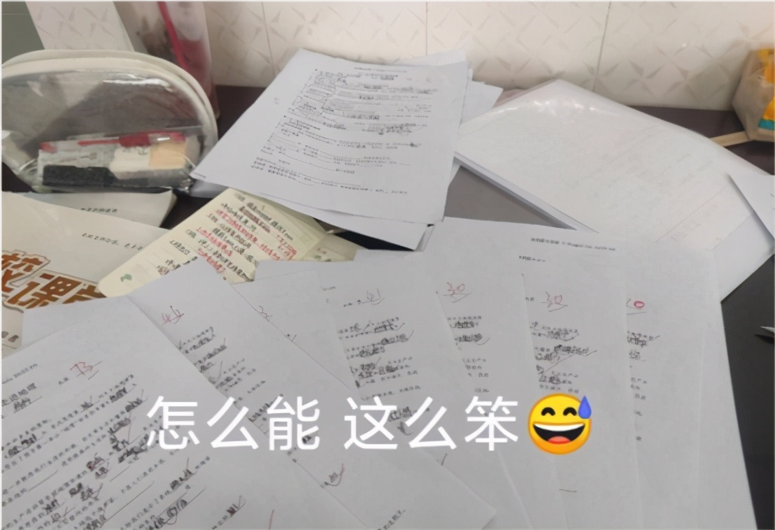 支教女老师骂山区孩子又蠢又笨,支教老师骂山区学生