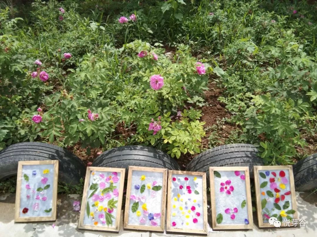 春末夏初,美美的三炫等你来