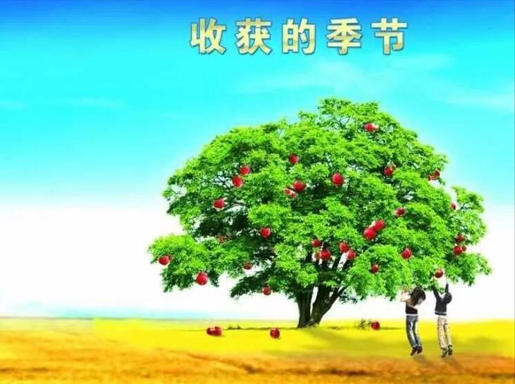 《浪子情怀》诗歌集少女篇6、Lookformyownseason寻找自己的季节