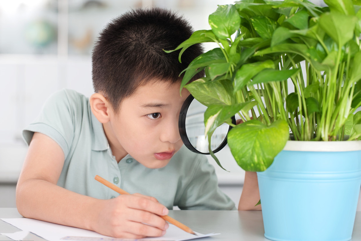 怎么培养一个人的毅力和耐心,没有毅力的人怎么克服