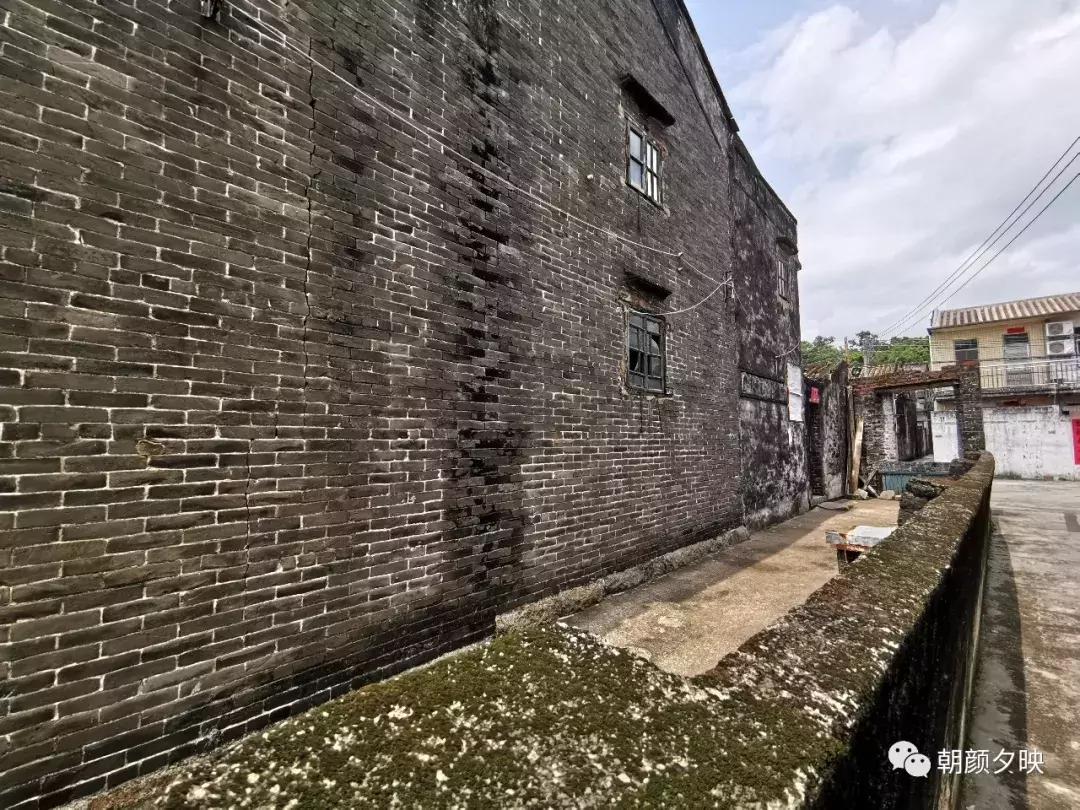 岐阳梧桐起凤环，鹭兮鹭兮寻不见（上）