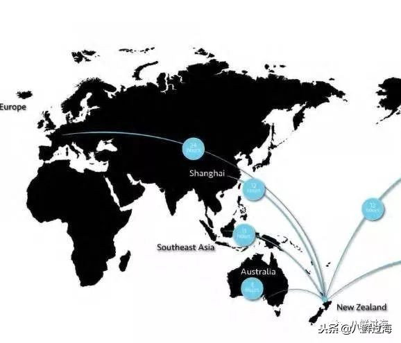 引入活青口贝、鲜帝王鲑,新西兰海产出口商的新生力量!