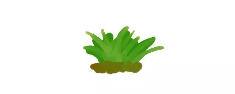 呼和浩特奶萌兽：足球摔跤样样行，体育课代表非他莫属丨Mr.Data