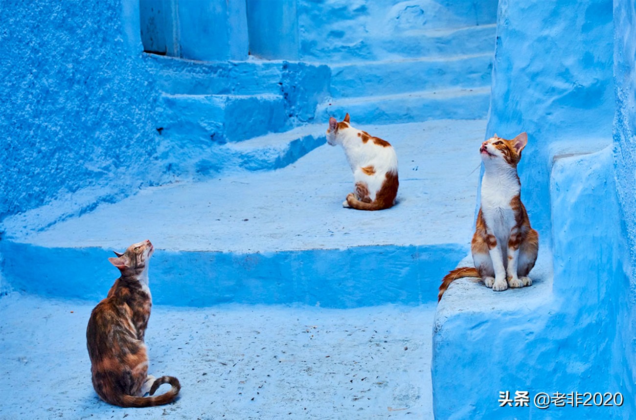 具备这5个能力说明你是高情商,具备这7种特征就可以成为老板