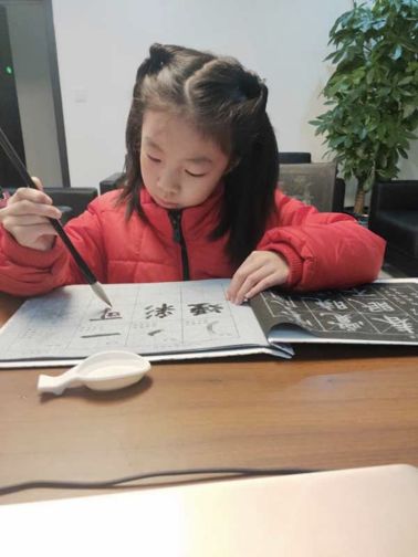 杭州小芽儿去哈尔滨,杭州小芽儿视频