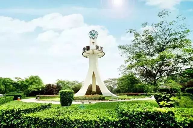 请回答郑州青年,请回答1988完整视频