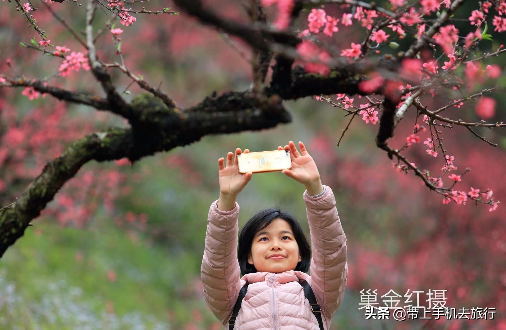 学懂7个技巧手机也能拍出好照片,如何用手机拍出好的照片心得