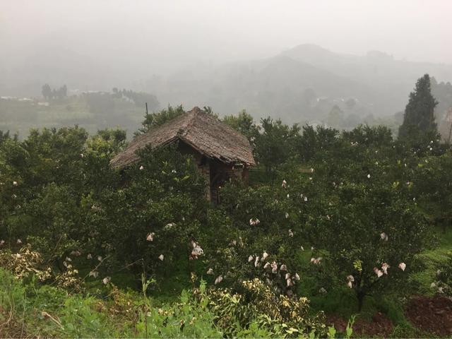 外嫁女能分土地补偿款吗,外嫁女户口在娘家土地该如何确权