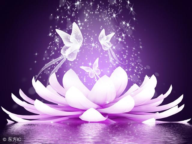 弘一法师停止抱怨是修行的开始,弘一法师临终勿动遗体