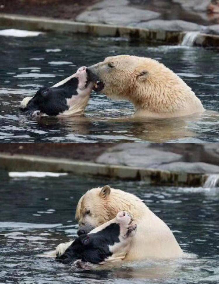 激动时只会喊“卧槽”？词穷是病，3个方法帮你治好