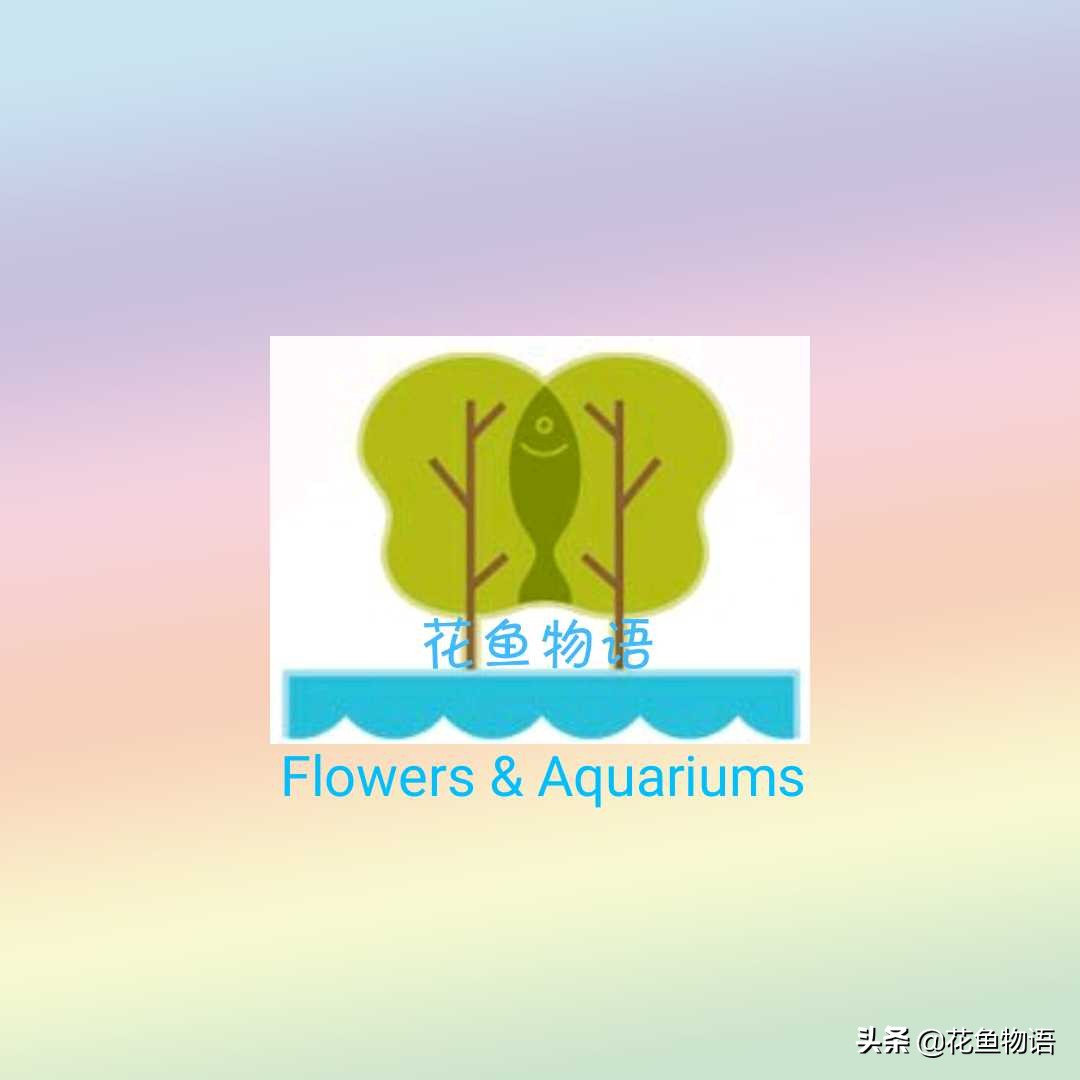 底滤鱼缸过滤原理及常见问题,底滤板气动过滤原理