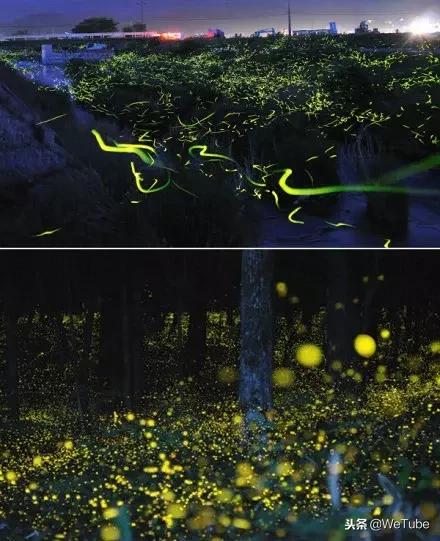 一生必去的中国50个最美地方风景,全球公认最美的十个地方旅游必读