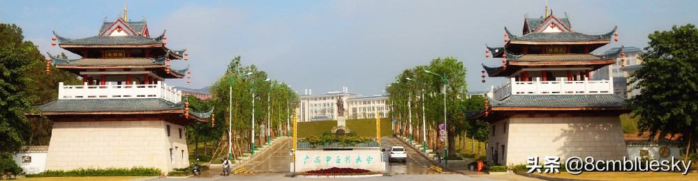 广西中医药大学在中医类排名,中医药大有可为