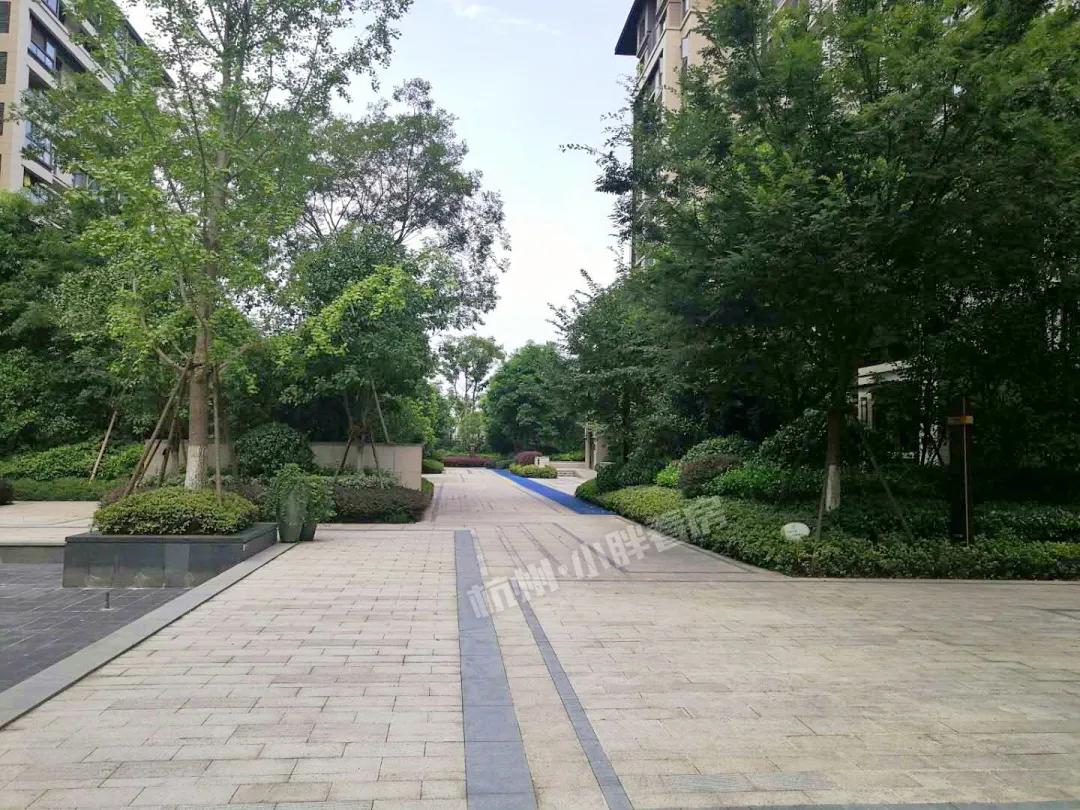 越卖越疯狂!万科星空凭什么代表未来科技城站上5万+