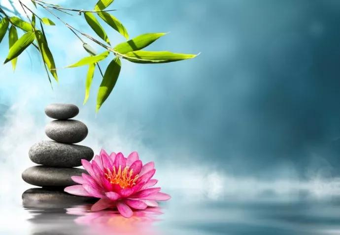 糊涂很精辟图片,糊涂很精辟视频