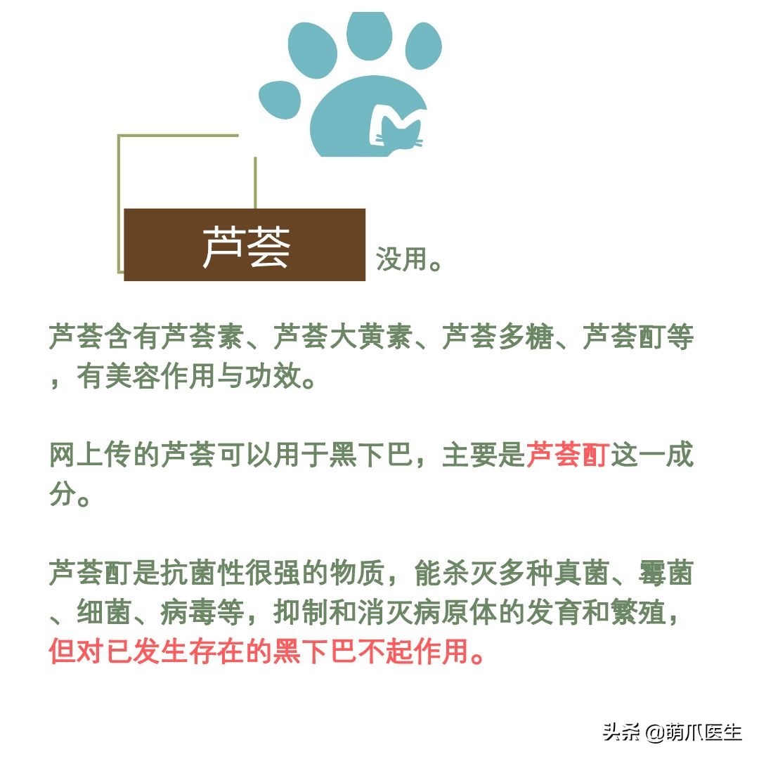 猫咪下巴长了黑头？千万别去抠，那是猫咪患上了毛囊炎的症状