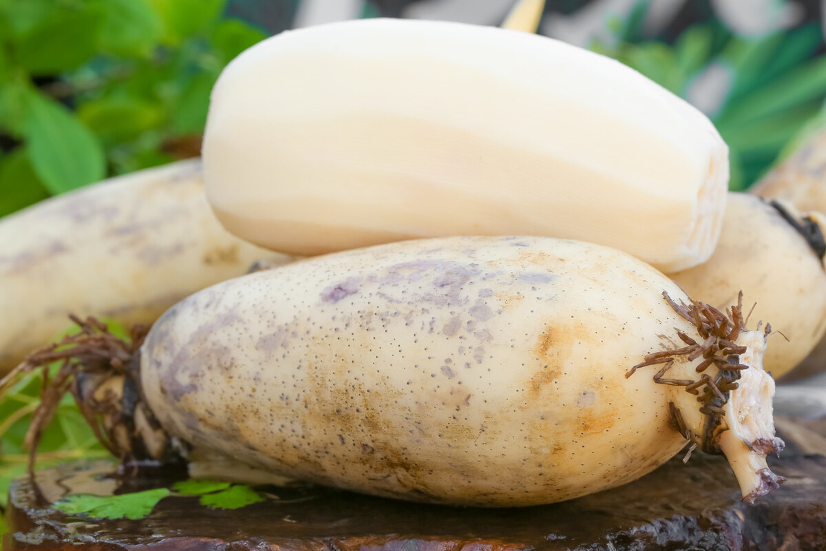 七孔莲藕和九孔莲藕哪种适合煨汤 (莲藕分七孔和九孔各自特点是什么)