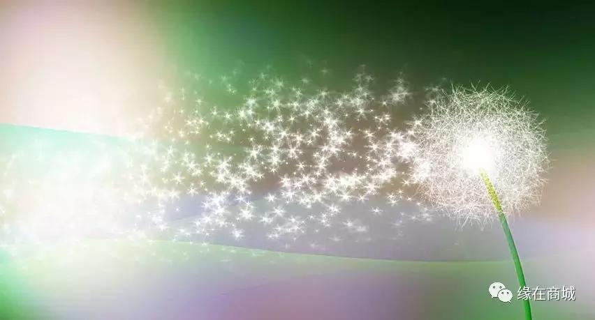 「品读」我的前男网友——以后真的不单独见面吗?/江河之王