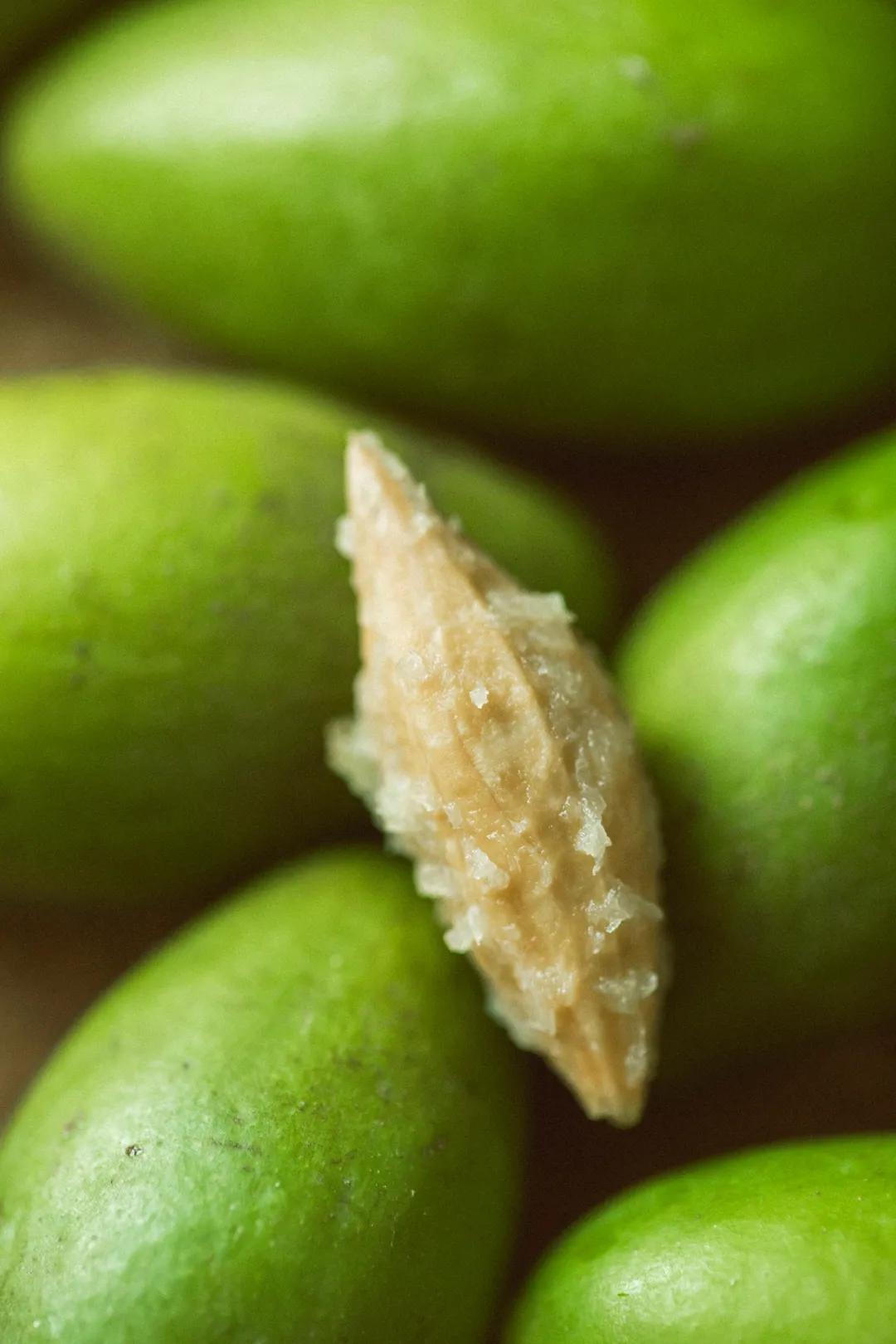 潮汕人从小吃到大的油柑,潮汕特有油柑