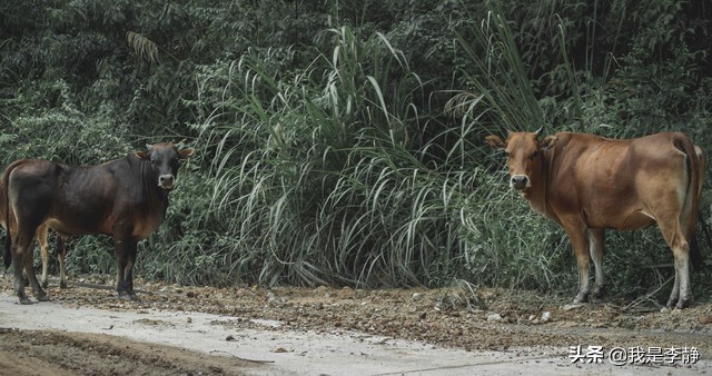 你知道哪些症状属于过度疲劳吗,怎么知道自己处于疲劳状态