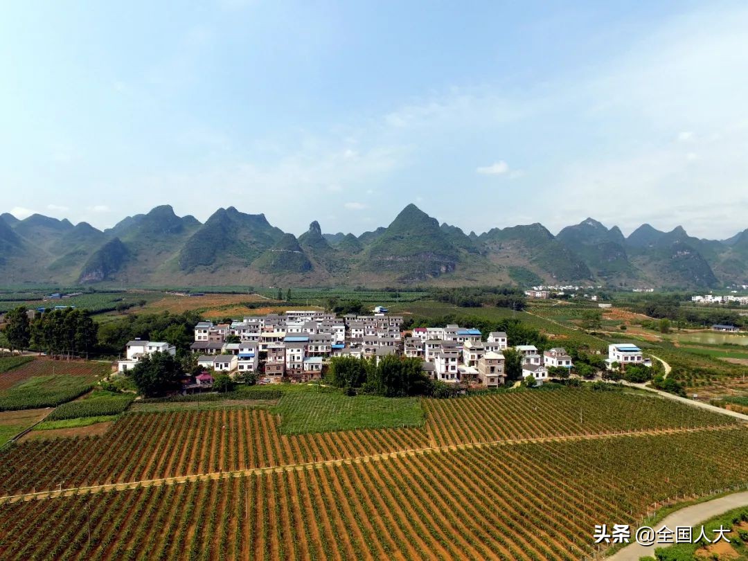 罗朝阳：让“梦里壮乡”的生活越过越有盼头！