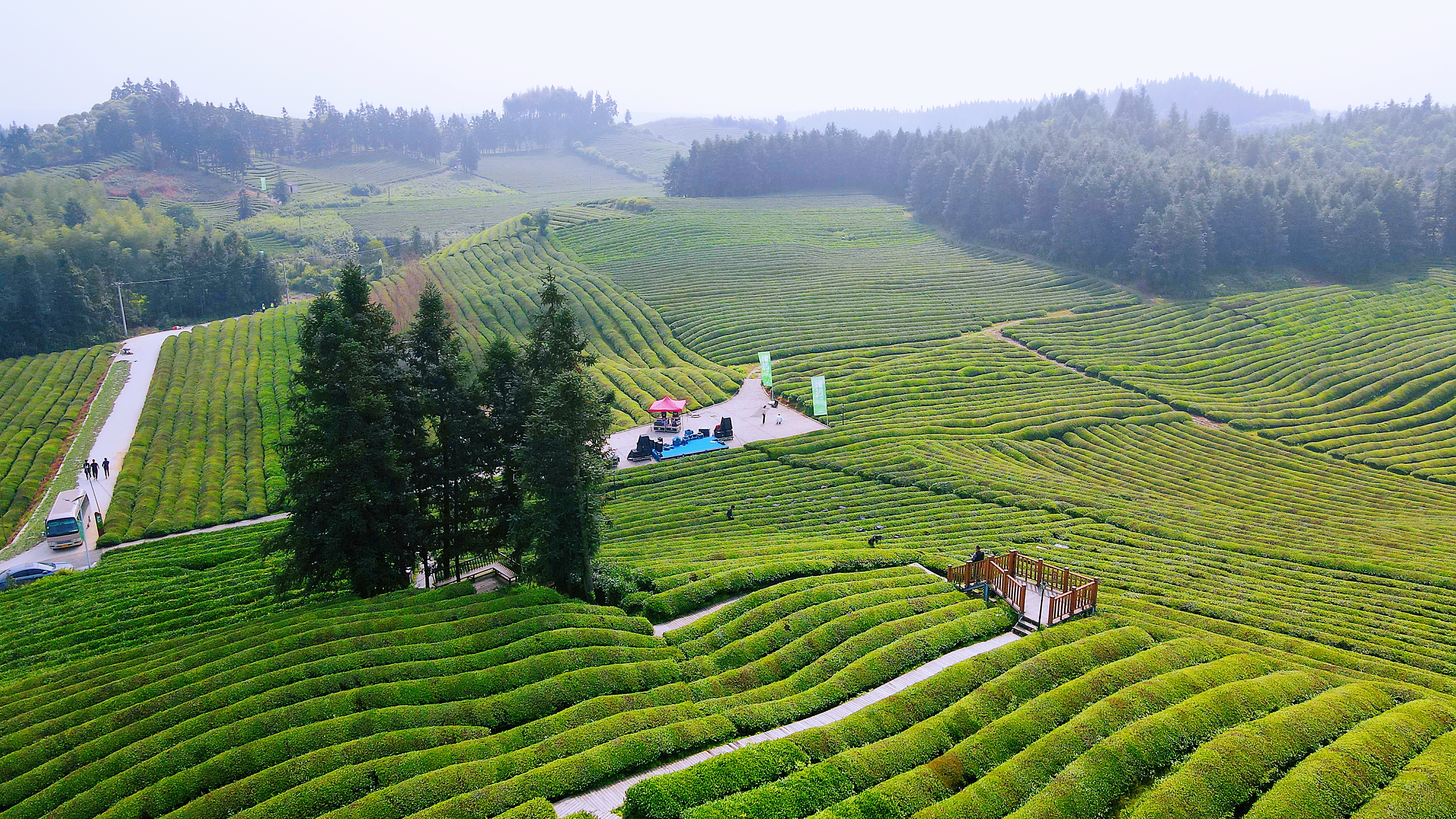 景德镇茶之源瓷之都,景德镇浮梁茶文化