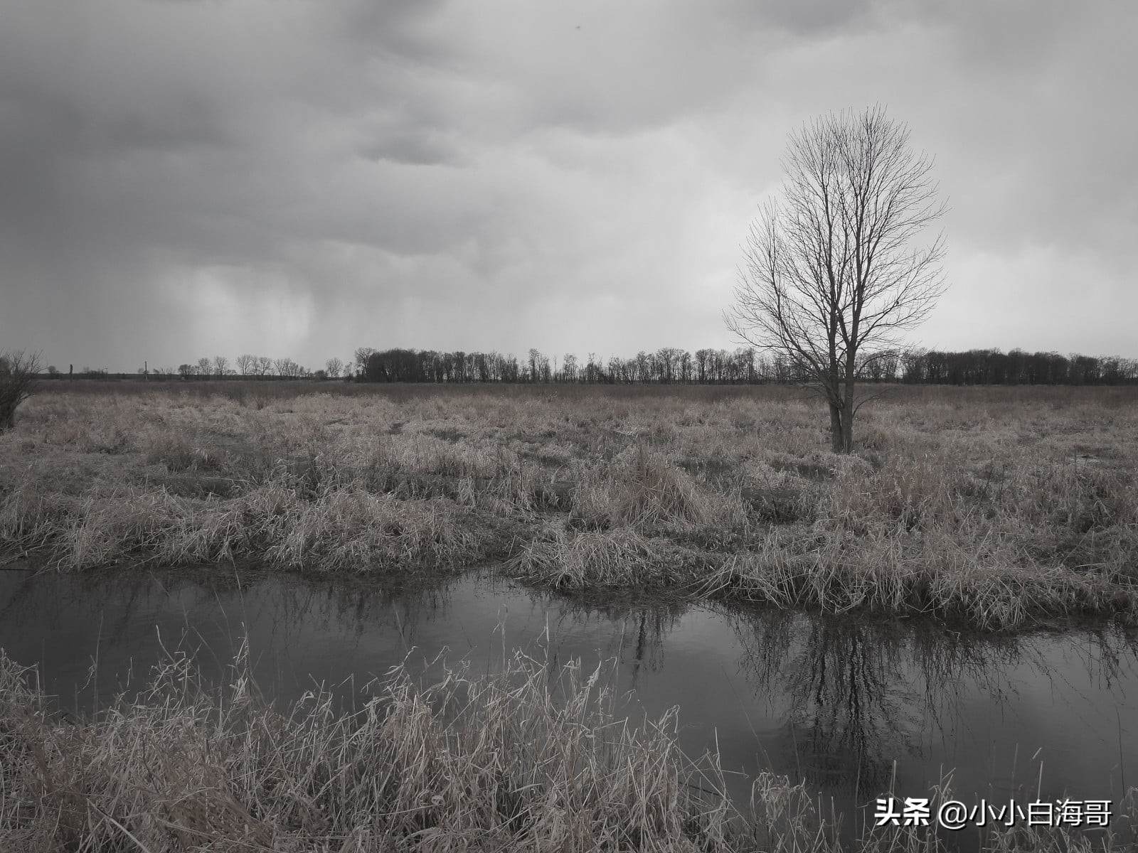 尼康24-3000mm超长焦镜头,尼康p950变焦镜头