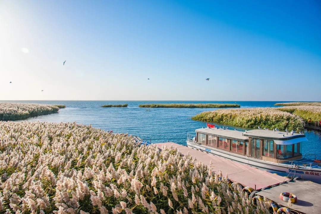 秋天去额济纳旅游感受,10月底额济纳旗旅游推荐