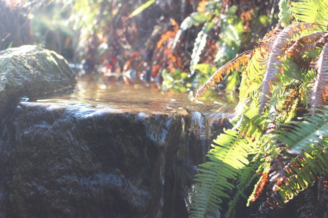 张廖官陂厚嗣坑的解字注释字面解读