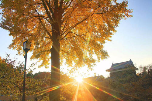 莒县还有这么美的地方,莒县真是美