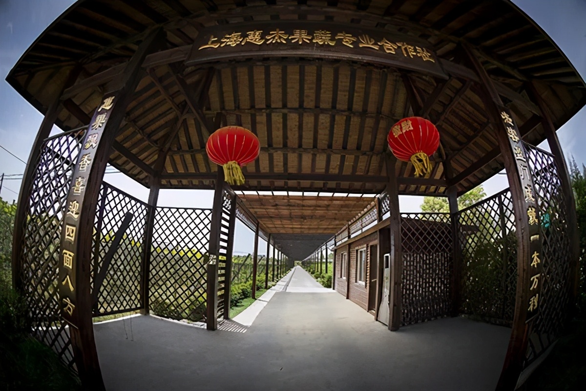 长三角城市群最佳旅游线路,长三角示范区旅游详细攻略