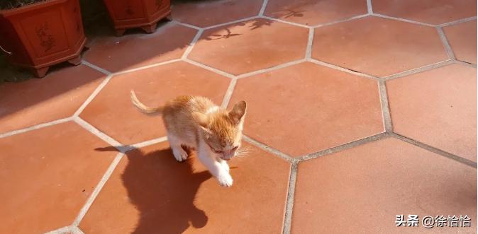 厦门鼓浪屿酒店价格多少钱,厦门鼓浪屿酒店性价比推荐