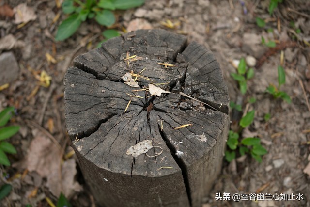 难忘的童年故事,难忘的童年趣事开头