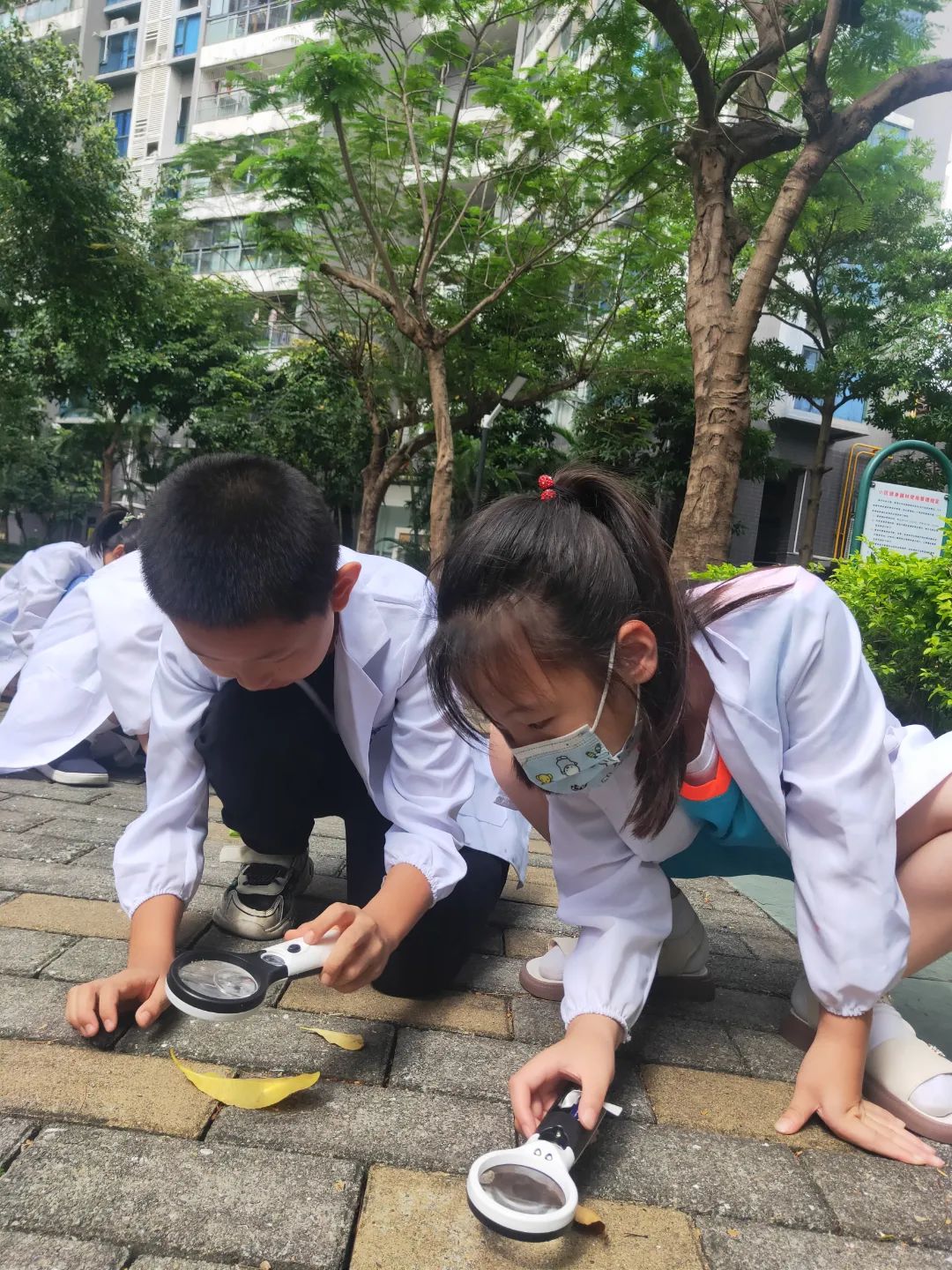 投影仪黑色成像原理,投影仪成像原理是光的折射吗