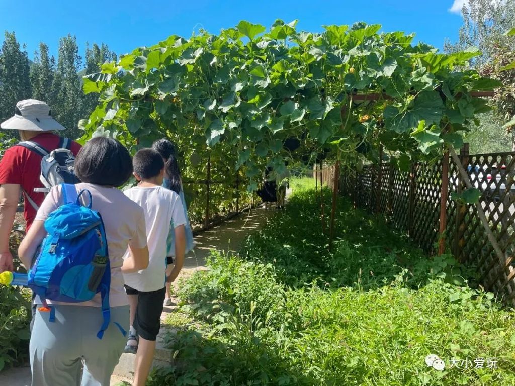 打卡北京这个超级亲子度假村！见识了遛娃界天花板，奉上超全攻略