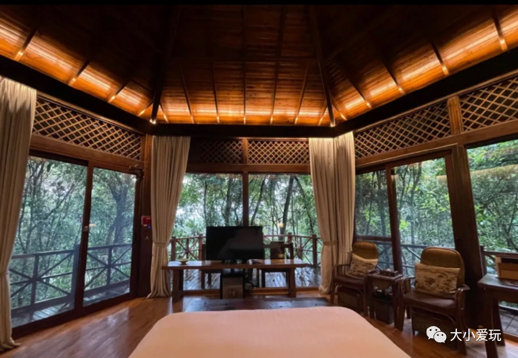 盘点从北到南带娃欢度的小众地！海边、沙漠、喂熊猫、看火箭…